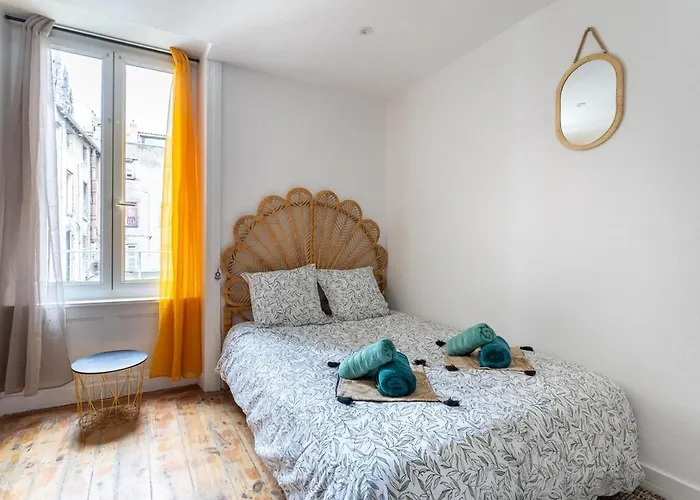 L'irazu ~ Centre-ville ~ Climatisation Appartement Clermont-Ferrand